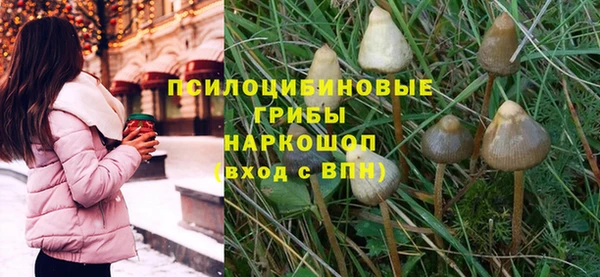 бошки Алексин