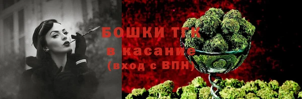 трава Арсеньев