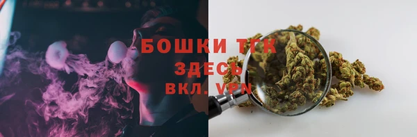 трава Арсеньев